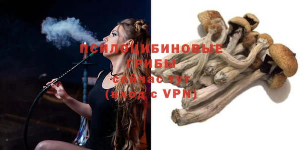 гидра Беломорск