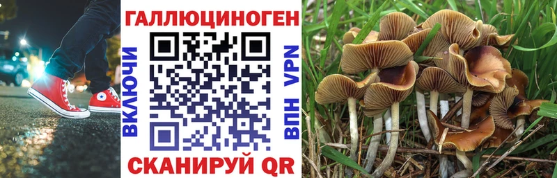 MEGA зеркало  Кущёвская  Псилоцибиновые грибы мухоморы  цены наркотик 